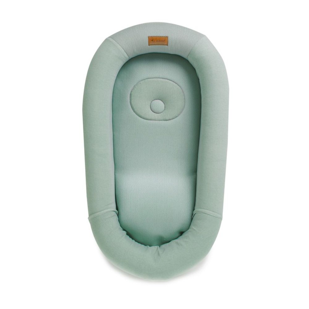 JANE Baby gnijezdo, Botanic