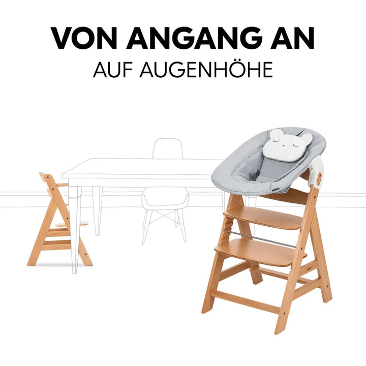 Hauck Alpha Newborn Set Pre Nature Grey