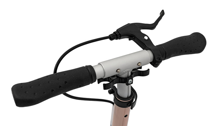 SPORTRIKE Scooter - Roza