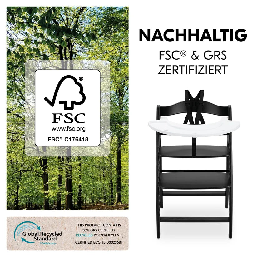 Hauck Arketa N Play Blackwashed