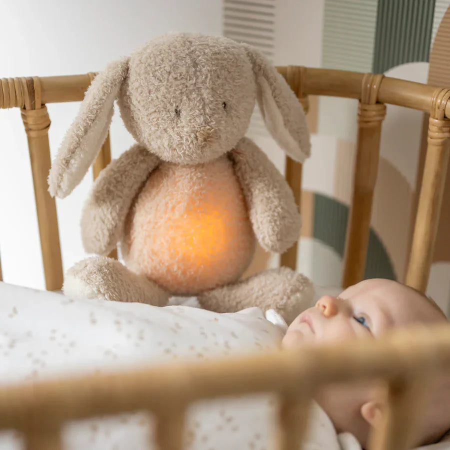 Sleepy interaktivni plišanac zeko Teddy