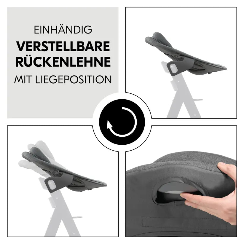 Hauck Alpha njihalica Premium Dark Grey