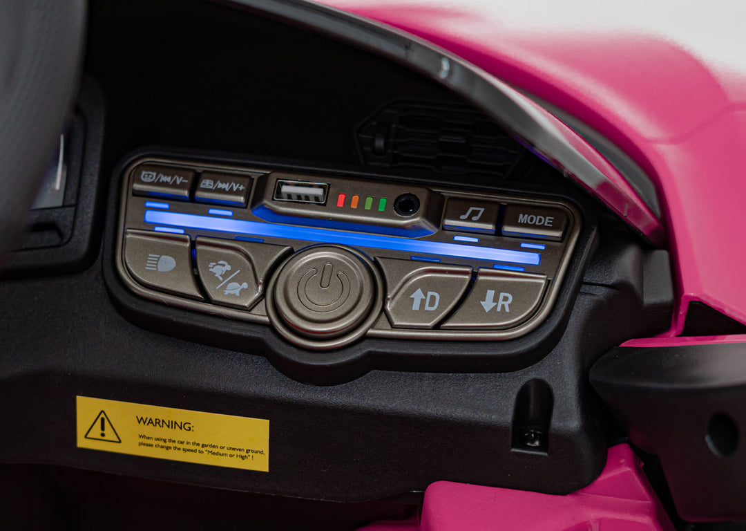 Lamborghini Revuelto - Roza