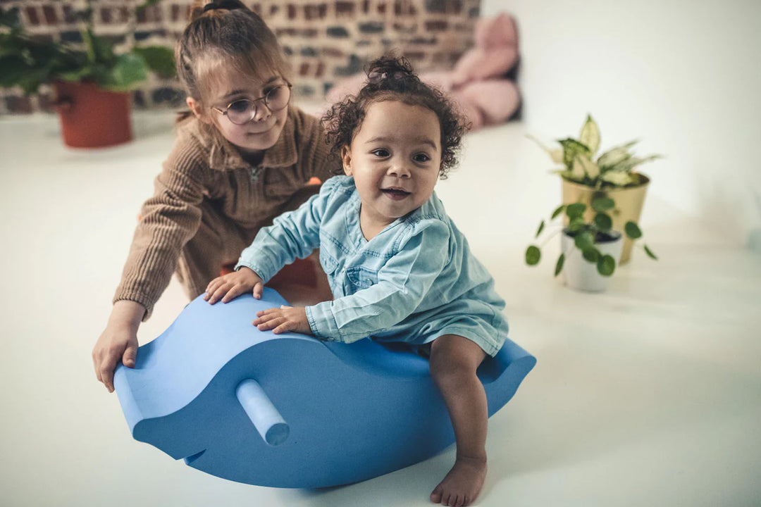 Moes Likovi za razvoj motorike - Dolphin