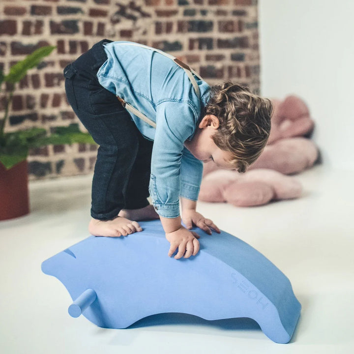 Moes Likovi za razvoj motorike - Dolphin