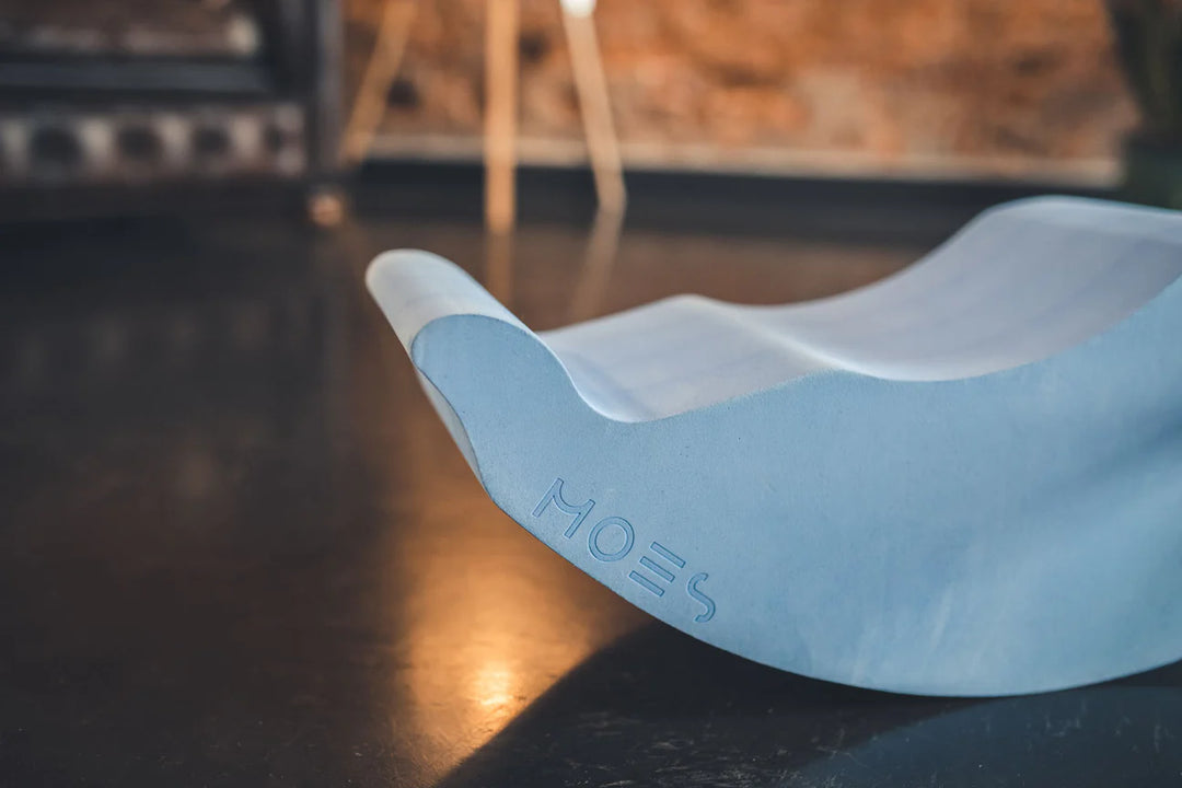 Moes Likovi za razvoj motorike - Dolphin