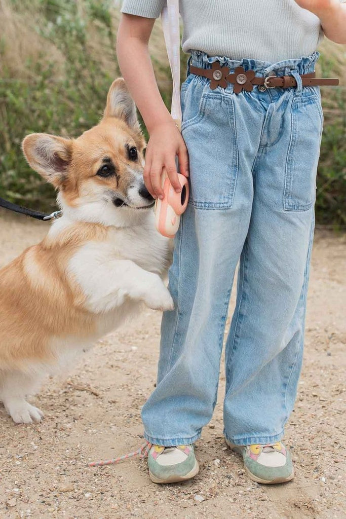 Zoo Walkie Talkie dino roza - dino roza