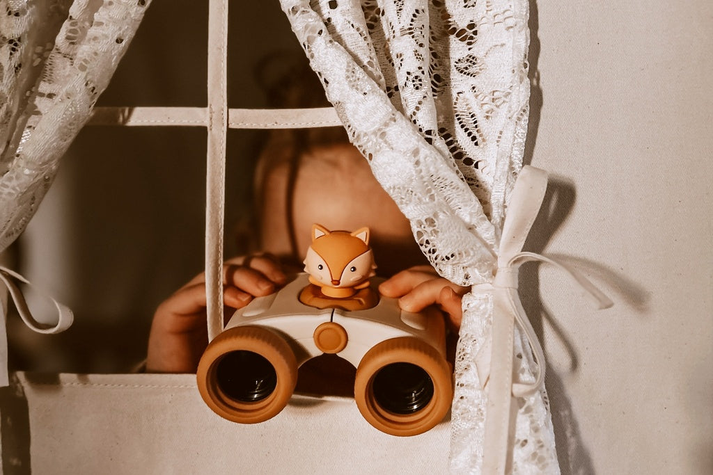 Zoo Dalekozor lisica