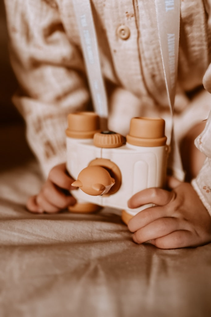 Zoo Dalekozor lisica