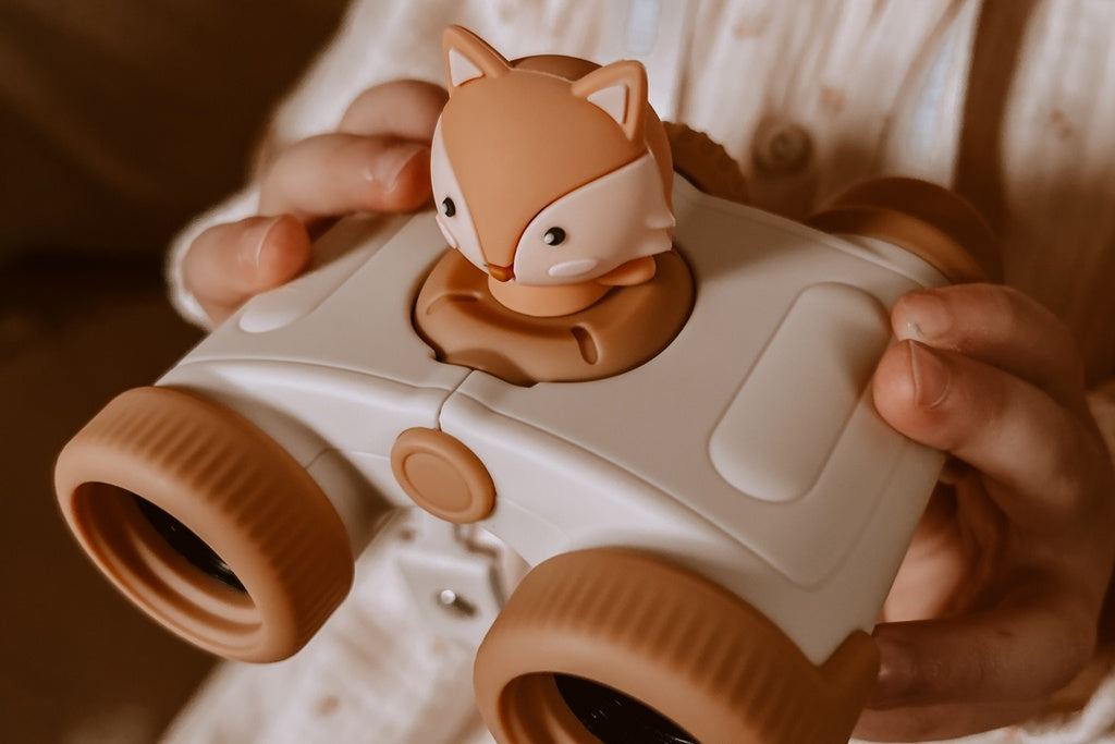 Zoo Dalekozor lisica