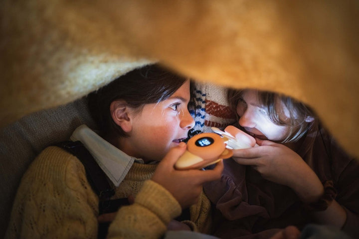 Zoo Walkie Talkie zec - medo