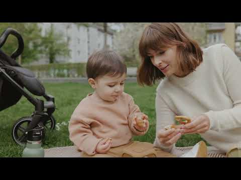 Hauck Rapid 4D Black