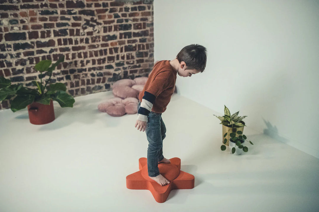 Moes Likovi za razvoj motorike - Starfish