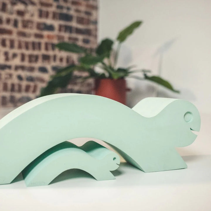 Moes Likovi za razvoj motorike - Turtle