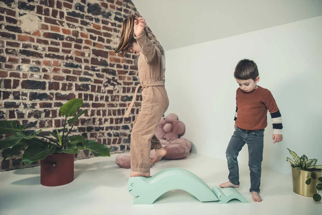 Moes Likovi za razvoj motorike - Turtle