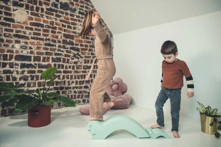 Moes Likovi za razvoj motorike - Turtle