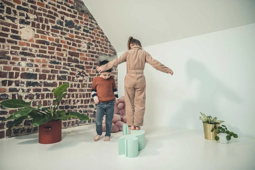 Moes Likovi za razvoj motorike - Turtle