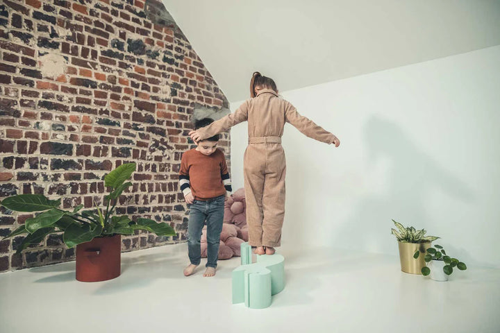 Moes Likovi za razvoj motorike - Turtle