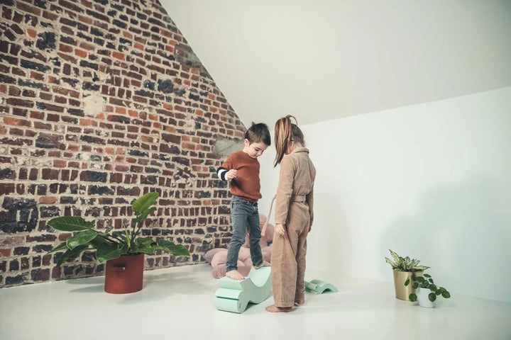 Moes Likovi za razvoj motorike - Turtle