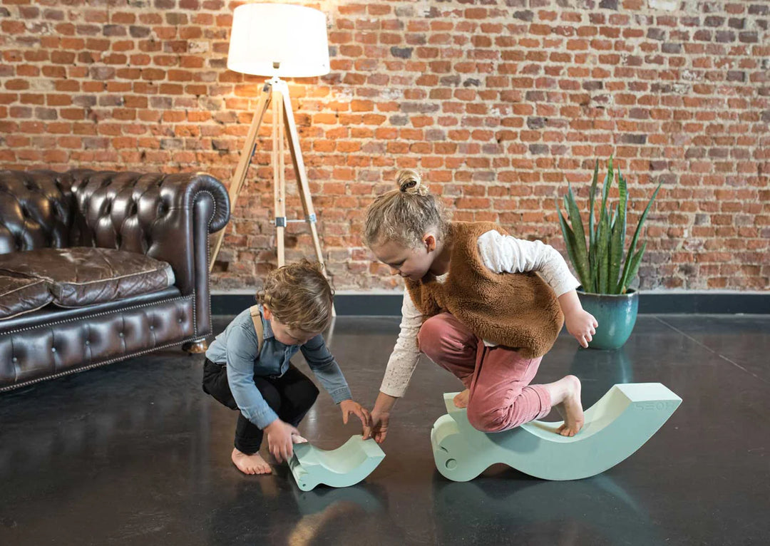 Moes Likovi za razvoj motorike - Turtle